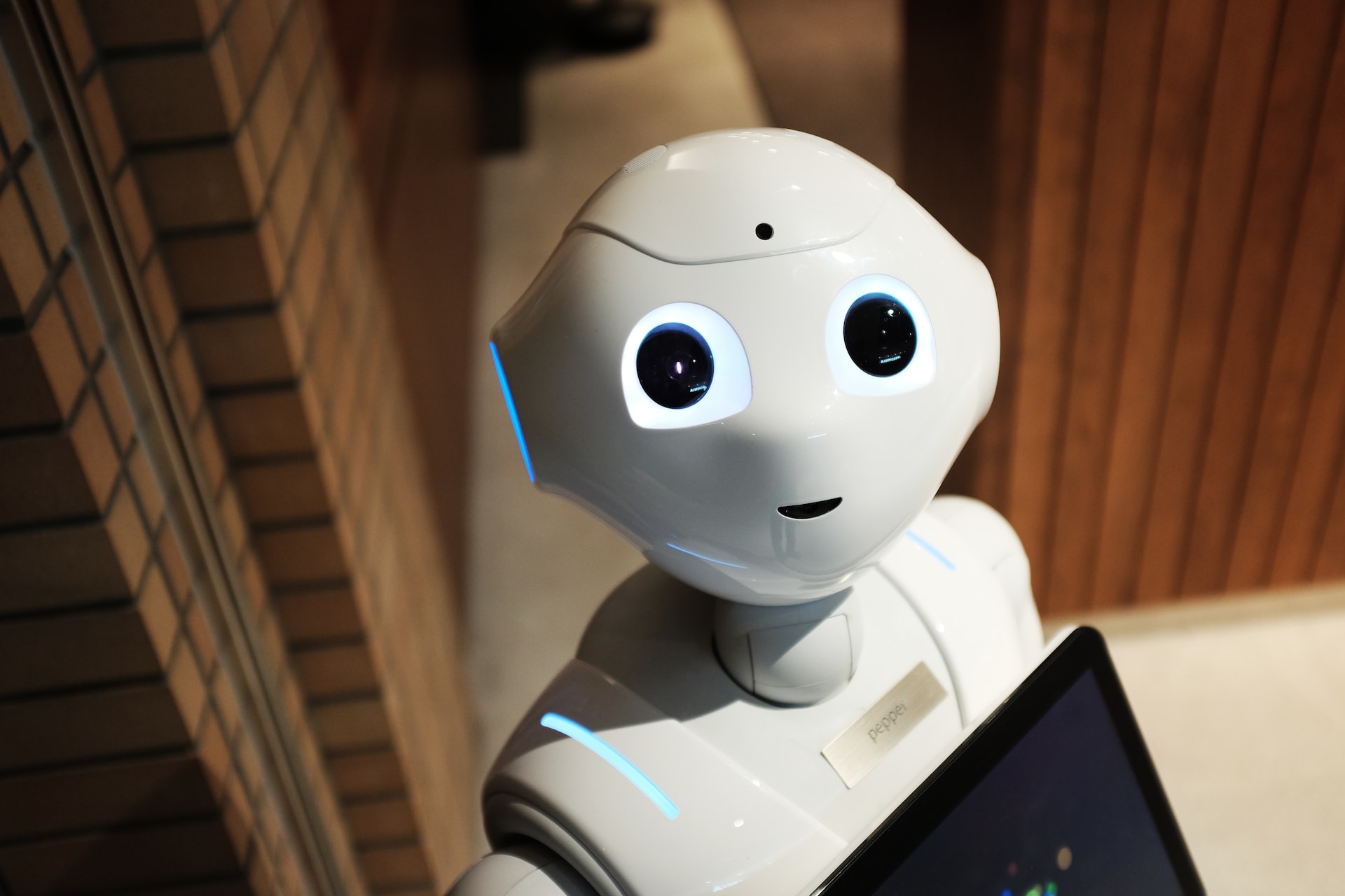 Why Regulation is Inappropriate for AI Technology